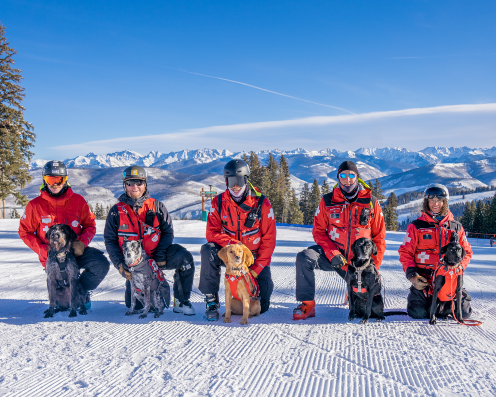 5 ski patrol members in uniform kneeling with rescue dogs on a ski slope with mountains in the background on a sunny day